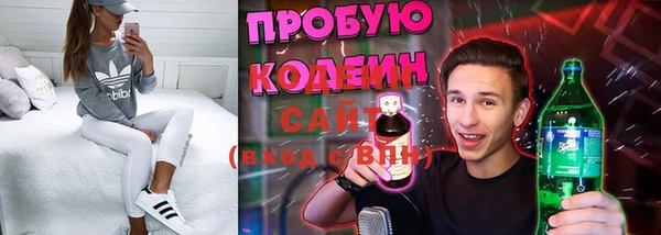 твердый Дмитровск