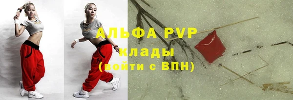 гашик Дмитриев