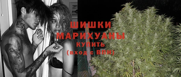твердый Дмитровск