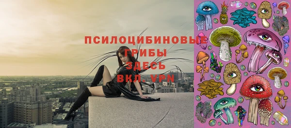 кристаллы Дмитров