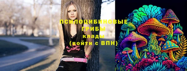 гашик Дмитриев