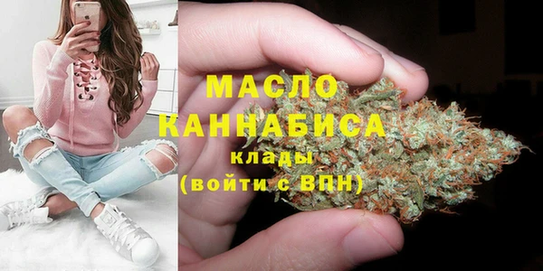 гашик Дмитриев