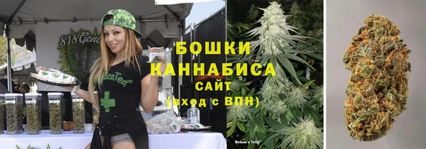 твердый Дмитровск