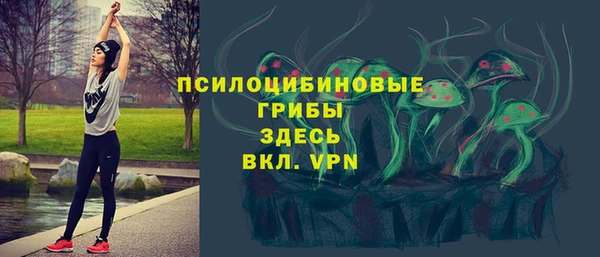 кристаллы Дмитров
