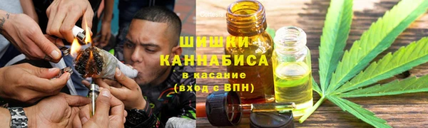 твердый Дмитровск