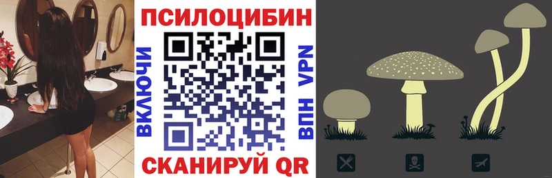 Купить где  Пикалёво  Галлюциногенные грибы MAGIC MUSHROOMS 